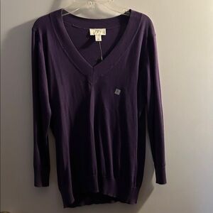 LOFT Women's V-Neck Sweater Purple
